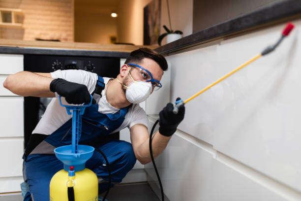 Best Affordable Pest Control Services  in Ogden, UT