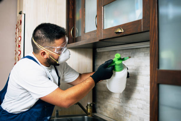 Pest Control for Restaurants in Ogden, UT