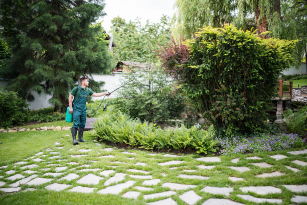 Best Mosquito Control Services  in Ogden, UT