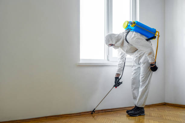 Best Termite Control Services  in Ogden, UT