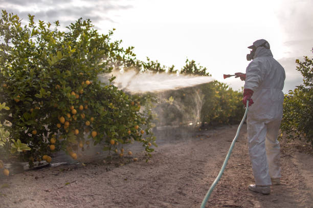 Best Commercial Pest Control Services  in Ogden, UT