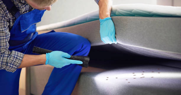 Best Pest Control Cost  in Ogden, UT