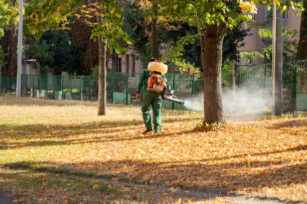 Pest Control Cost in Ogden, UT