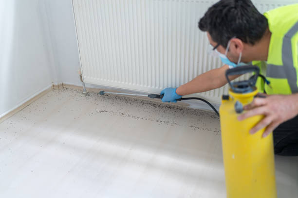 Best Best Pest Control Companies  in Ogden, UT